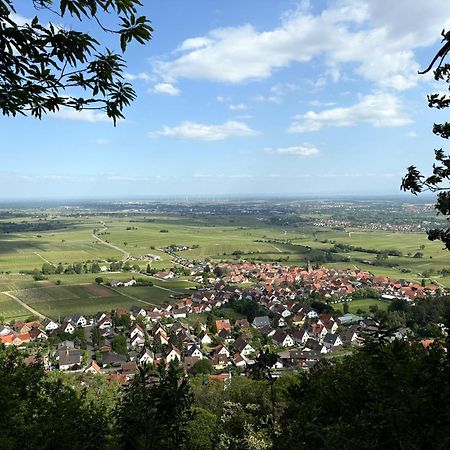 Ferienwohnung Am Ringelsberg Frankweiler 외부 사진