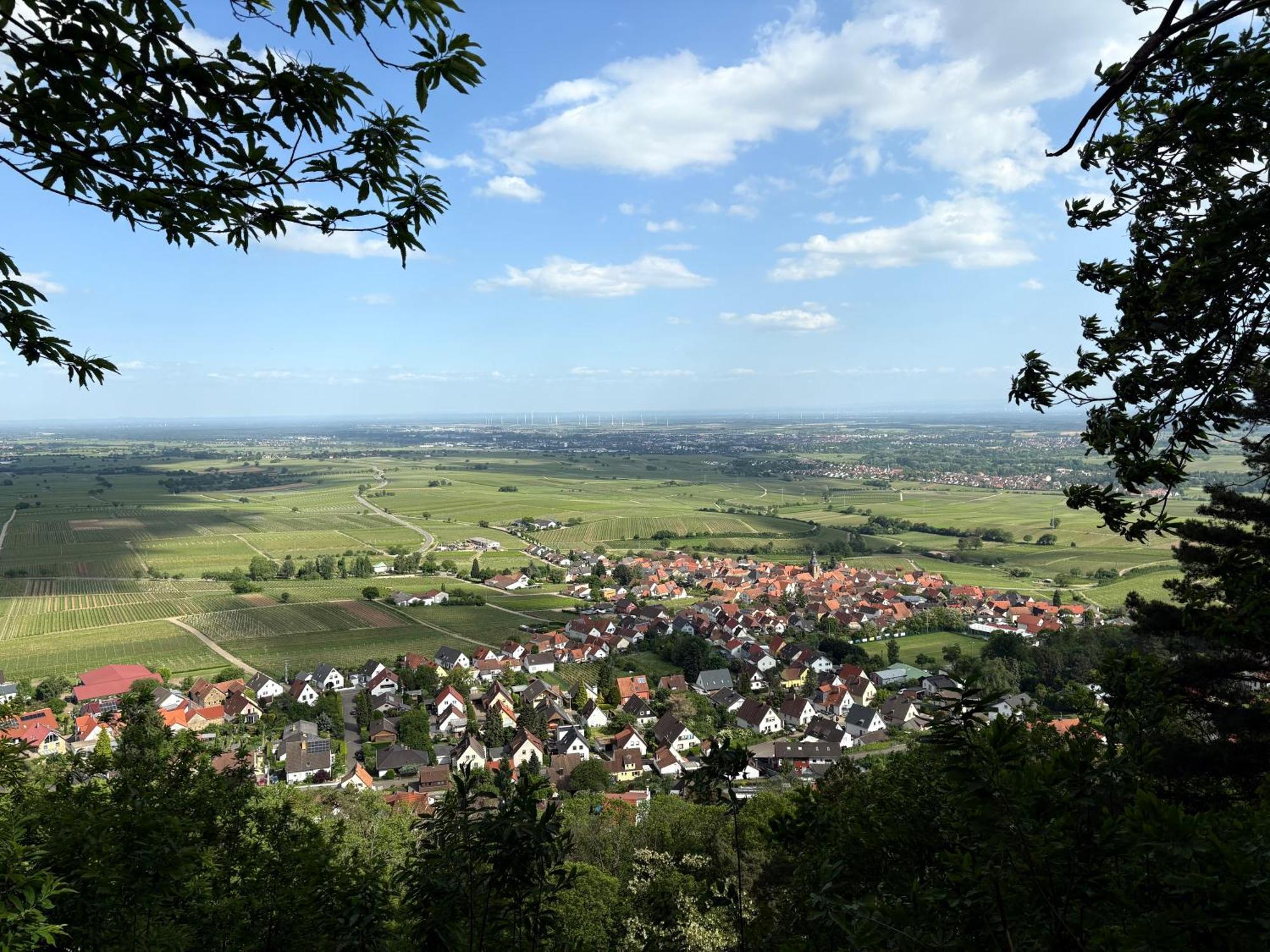 Ferienwohnung Am Ringelsberg Frankweiler 외부 사진